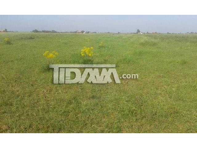 terrain à bouznika Image